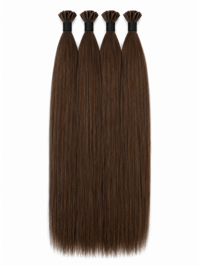 Chocolate Brown